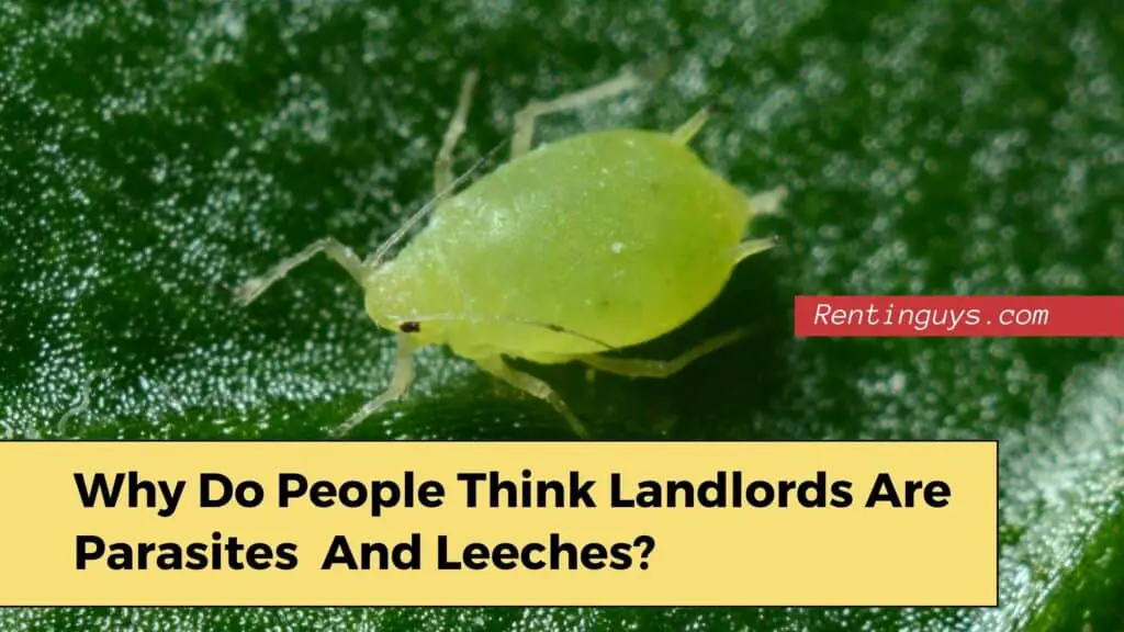 Landlords are parasites and leeches